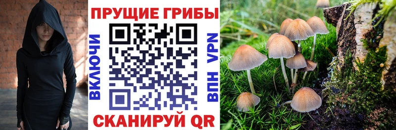 что такое наркотик  Свирск  Галлюциногенные грибы ЛСД 